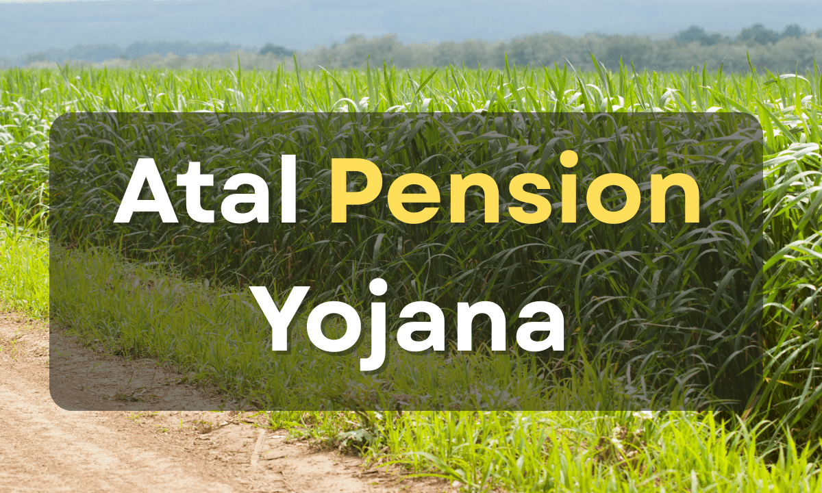 Atal Pension Yojana